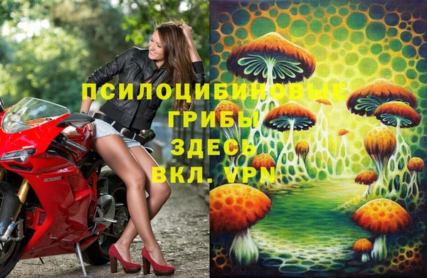 стаф Киренск