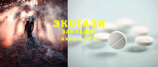 стаф Киренск