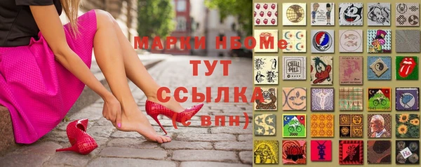 стаф Киренск
