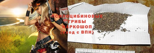 стаф Киренск