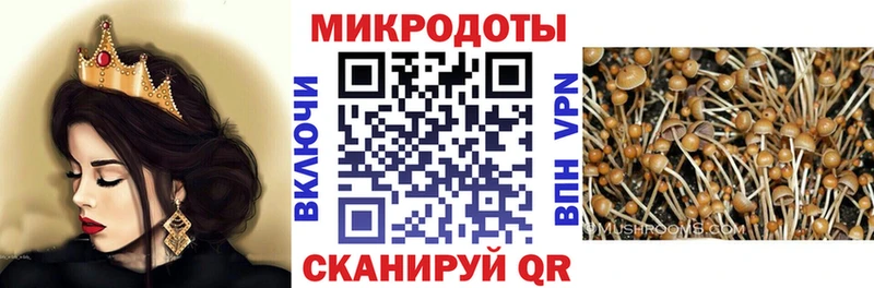 Псилоцибиновые грибы мицелий  Купить закладки  Санкт-Петербург 